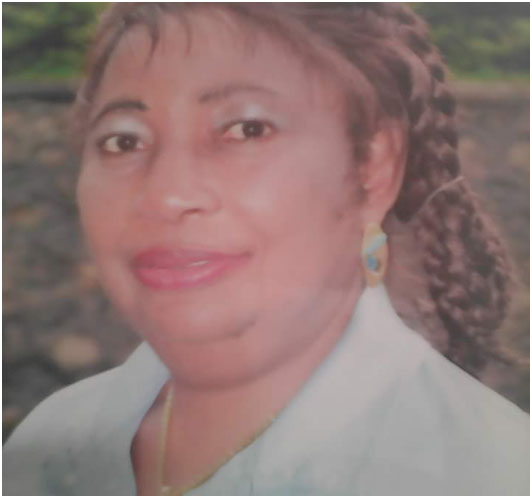 Bees attack did not disrupt GCE exams  – Principal GHS Buea Town