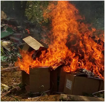 3247 copies of the book set ablaze in Yaoundé