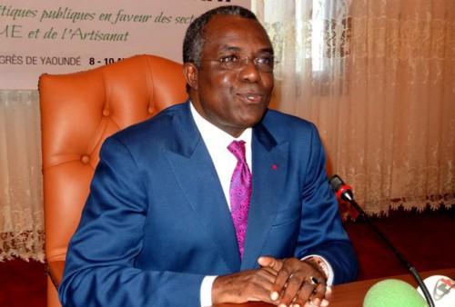 Minister Etoundi Serge Ngoa