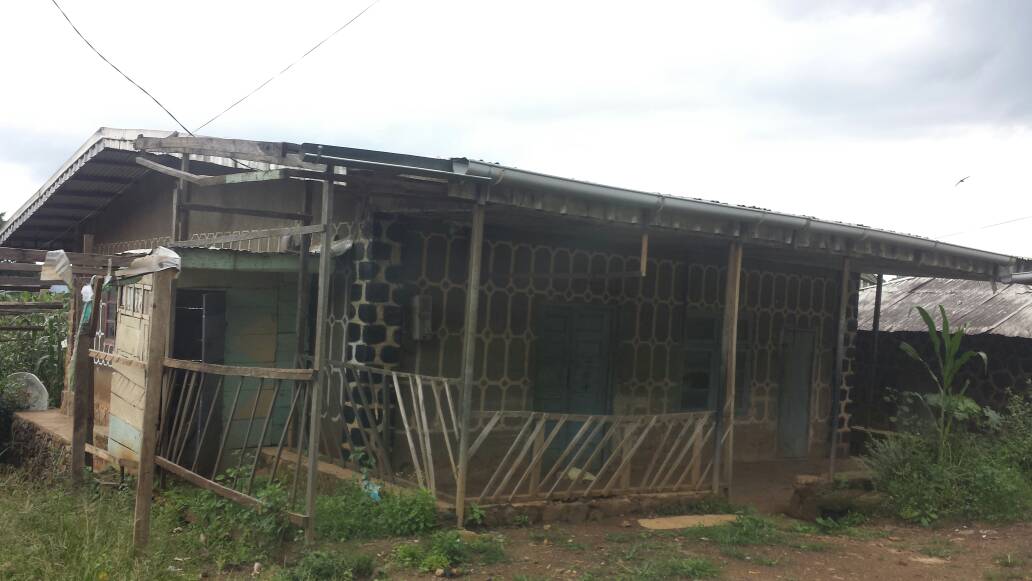 One of the many abandoned houses
