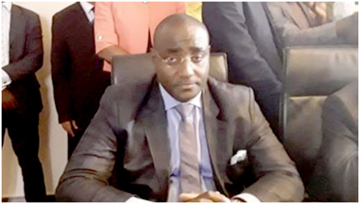 Director General of Camair-Co, Louis George Njipendi